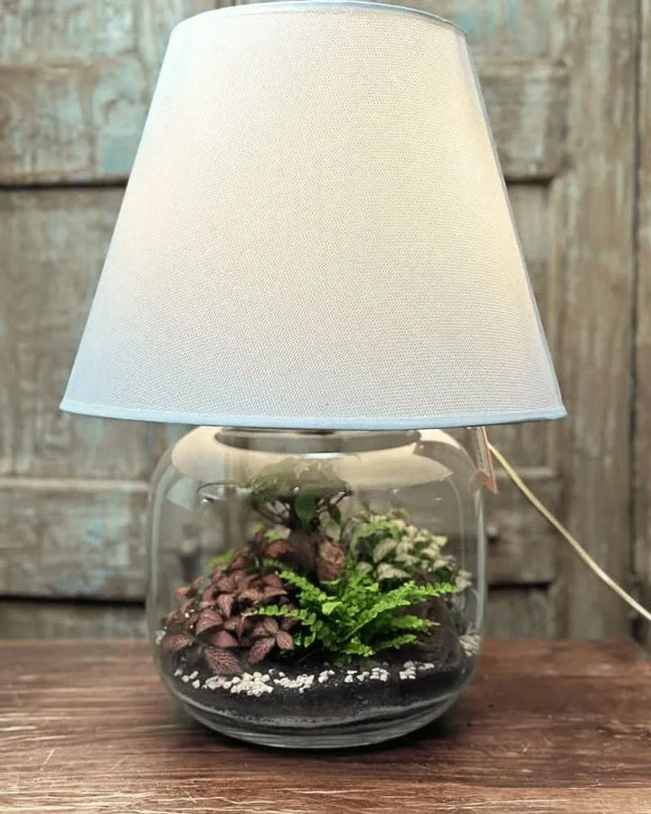 Terrarium Lamparium completo e acceso, con piante verdi e ciottoli decorativi su fondo in legno