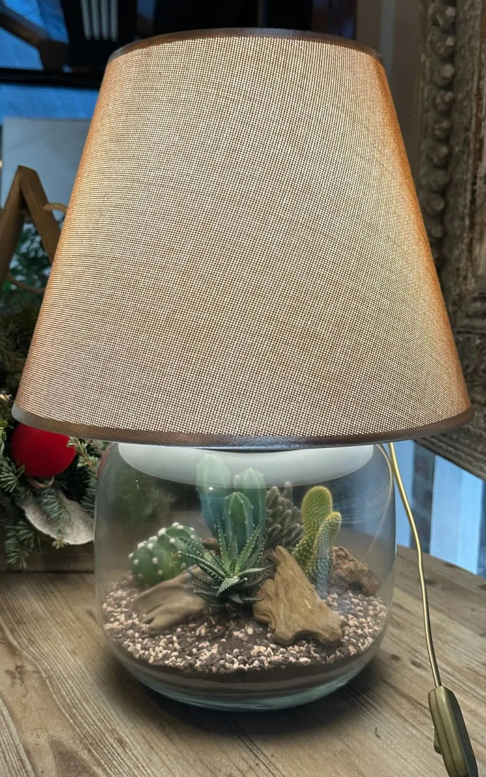 Terrarium Lamparium illuminato con composizione di piante grasse

