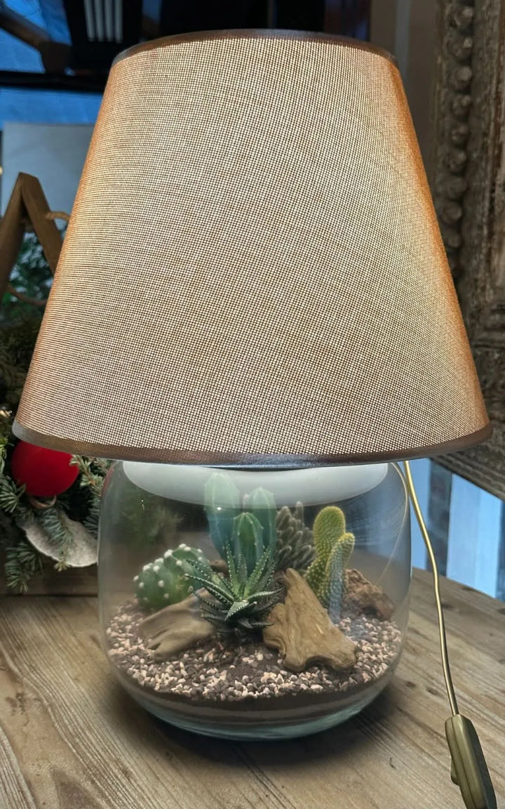 Terrarium Lamparium illuminato con composizione di piante grasse

