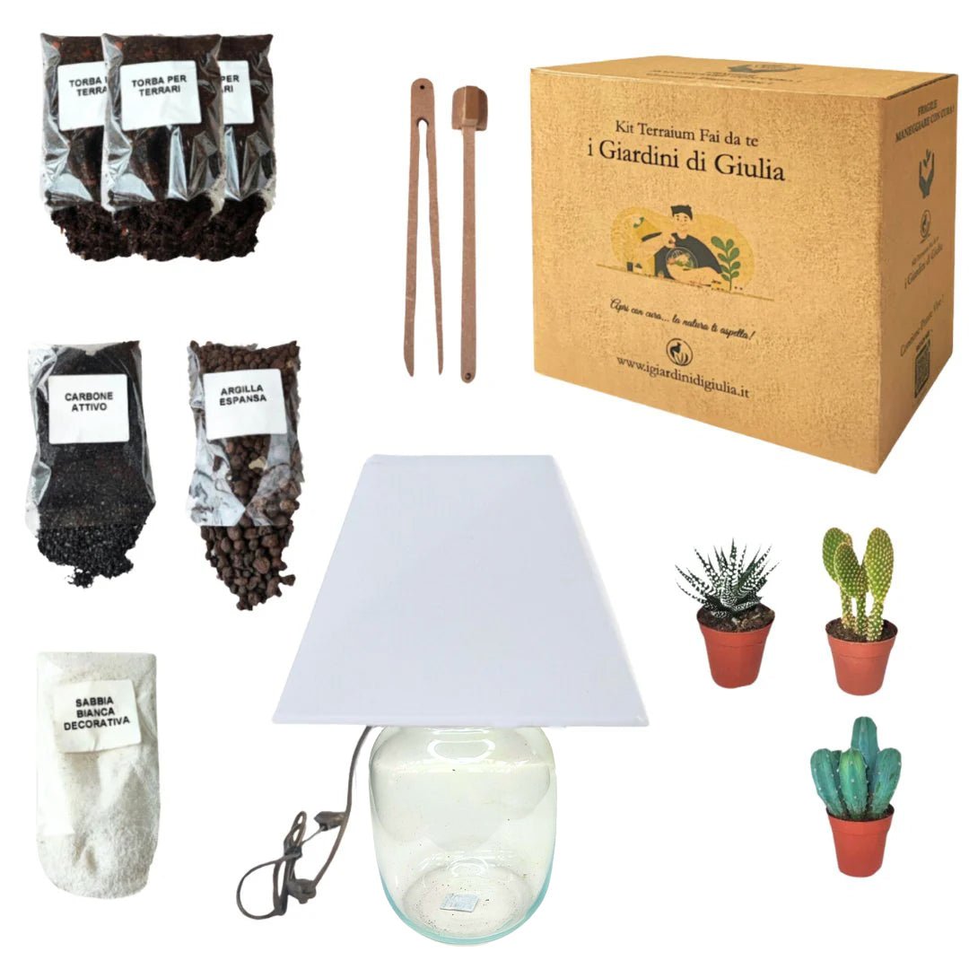 Kit Terrarium Lamparium Medio con piante grasse - i Giardini di Giulia