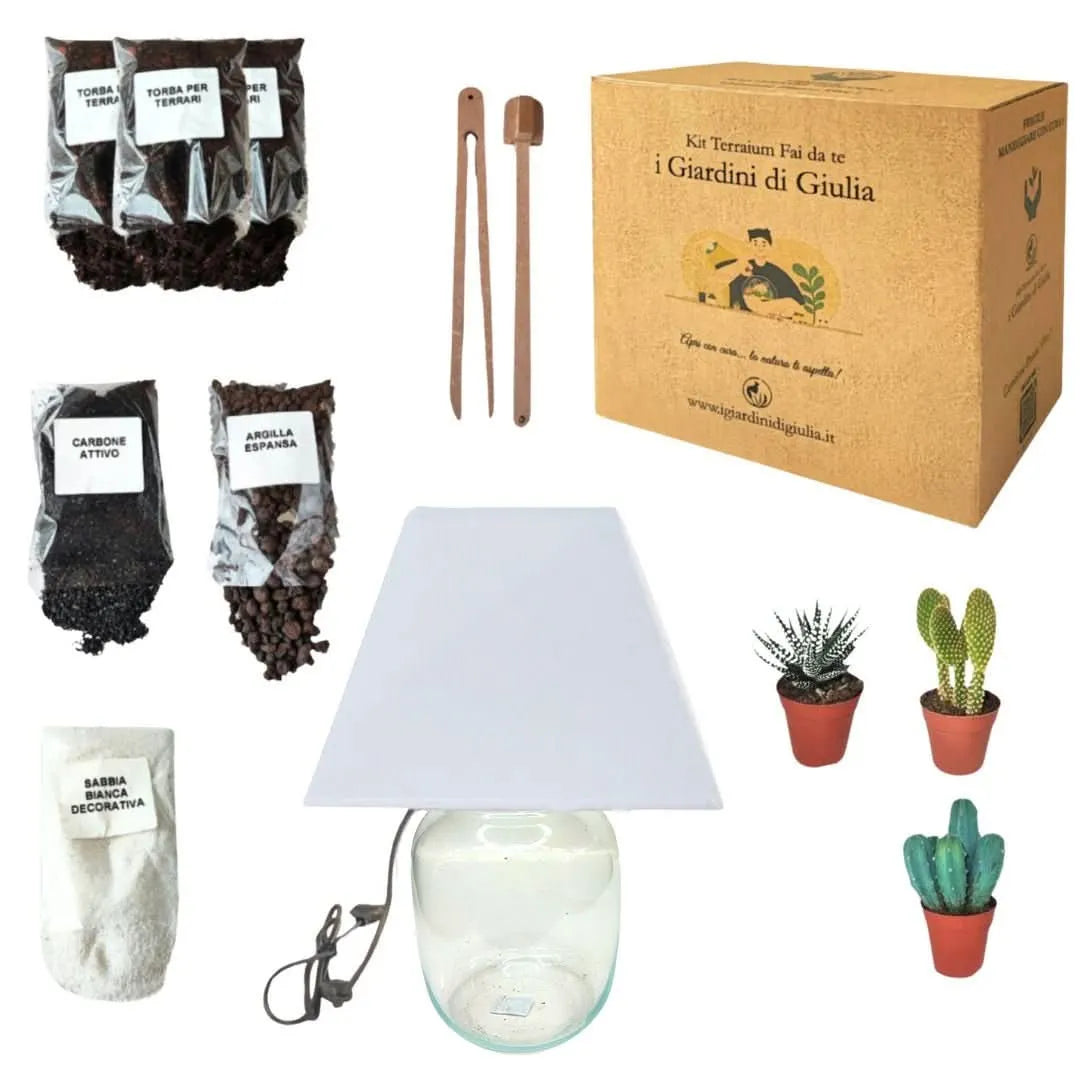 Contenuto completo Kit Terrarium Lamparium

