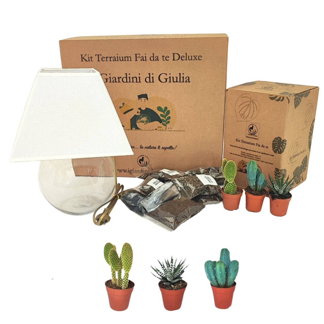 Kit Terrarium Lamparium Medio con piante grasse - i Giardini di Giulia