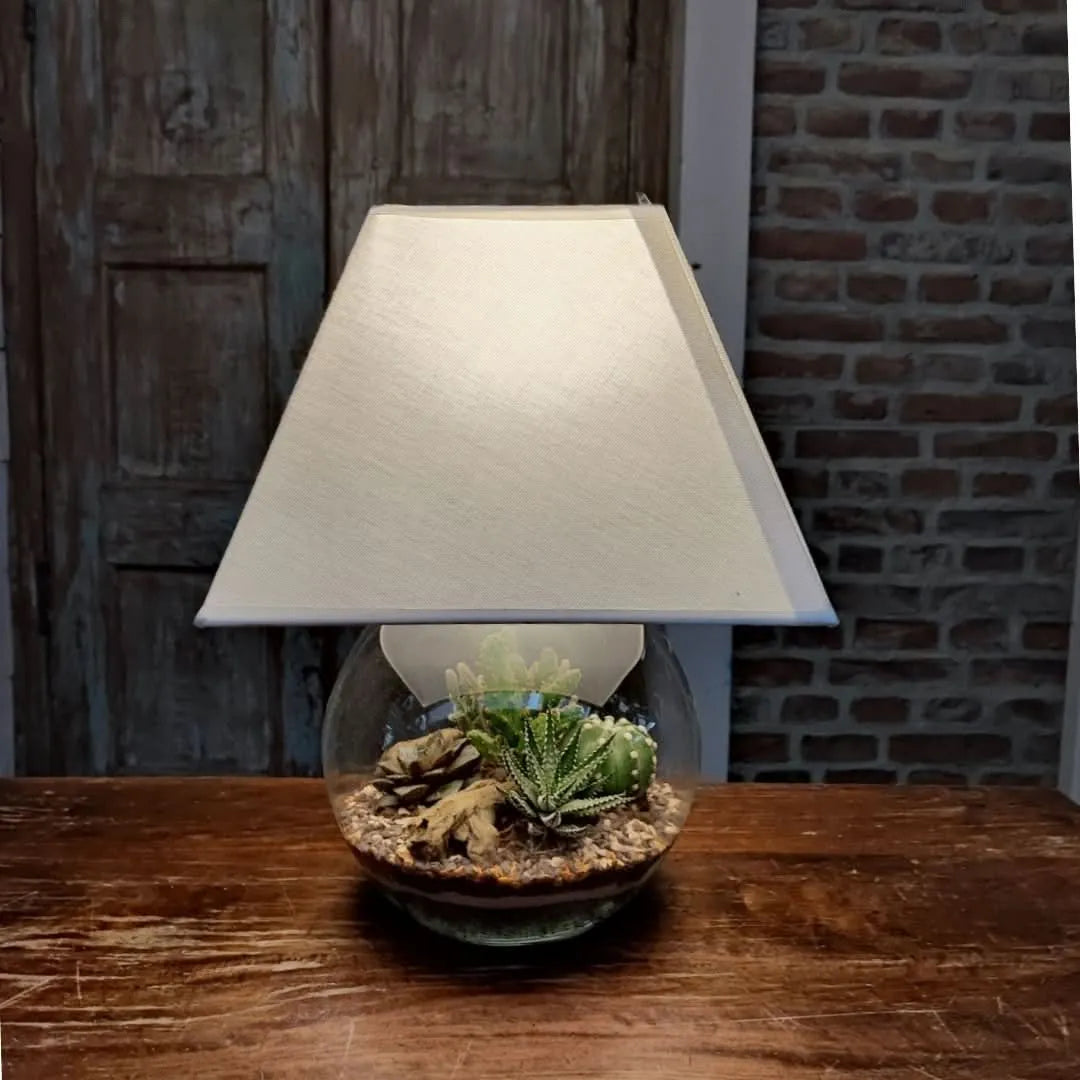 Terrario Lamparium finito con luce accesa, su tavolo in legno

