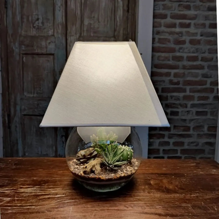 Terrario Lamparium finito con luce accesa, su tavolo in legno

