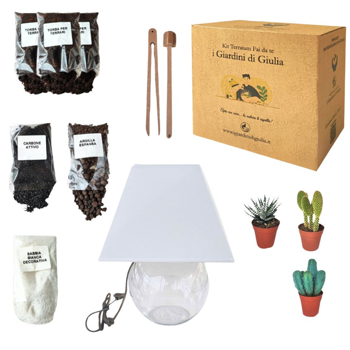 Kit Terrarium Lamparium Medio con piante grasse - i Giardini di Giulia