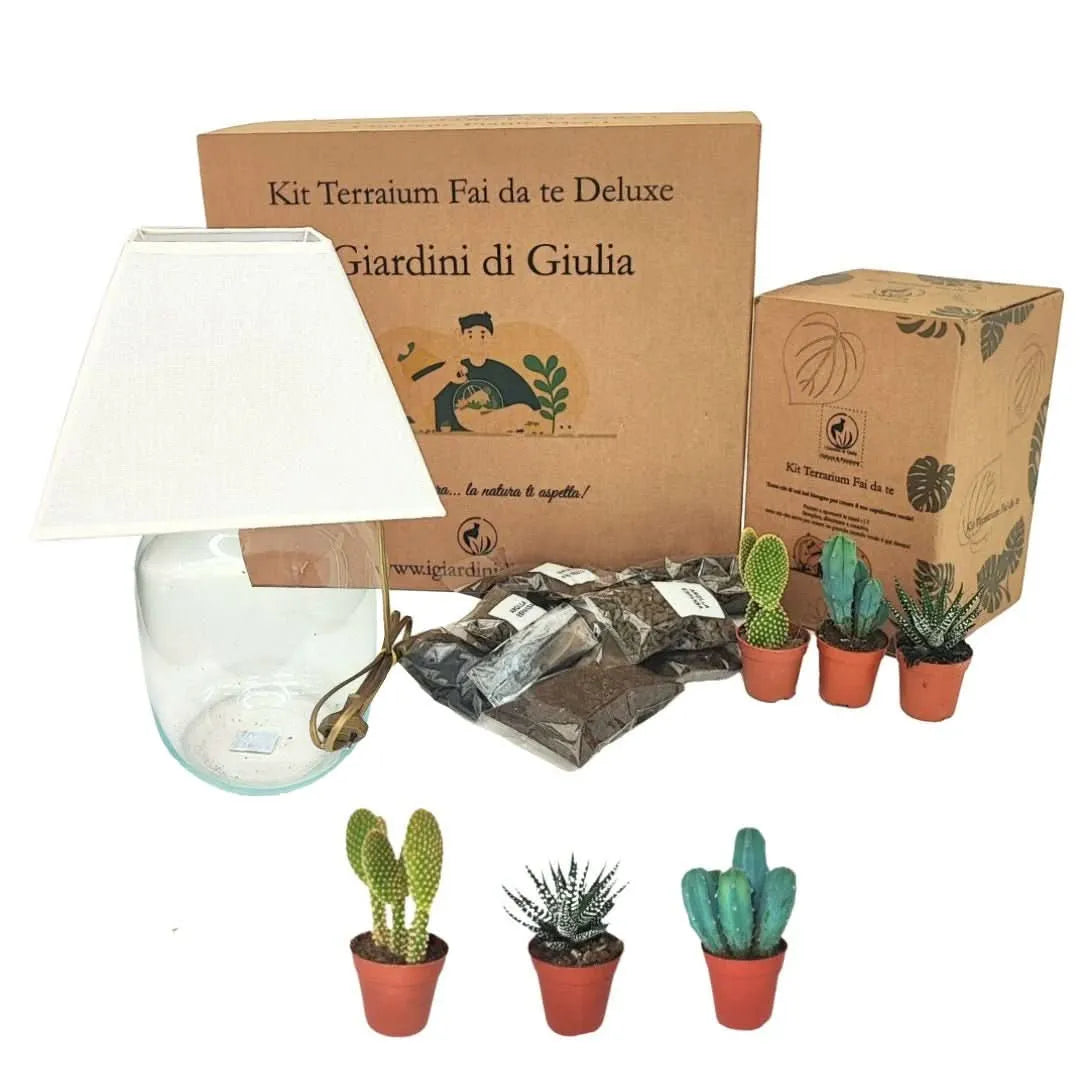 Kit terrarium Lamparium con piante grasse e materiali inclusi

