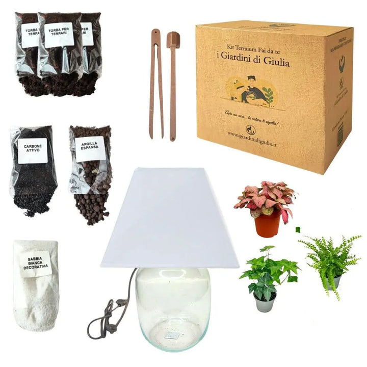 Kit Terrarium Lamparium Medio con piante verdi - i Giardini di Giulia 