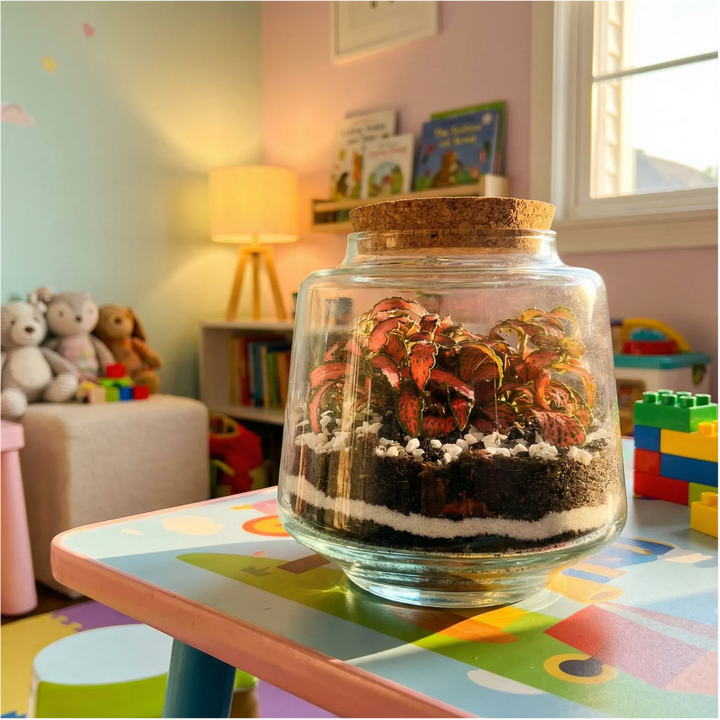 Il Kit Terrarium "Il Mondo di Giulia"