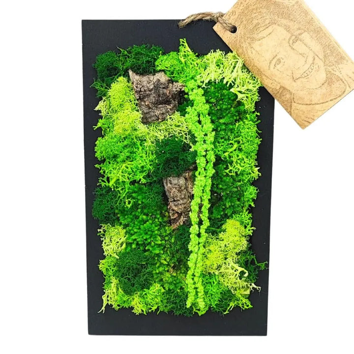 Kit Verde Stabilizzato Quadro rettangolare 25x14 cm. - i Giardini di Giulia