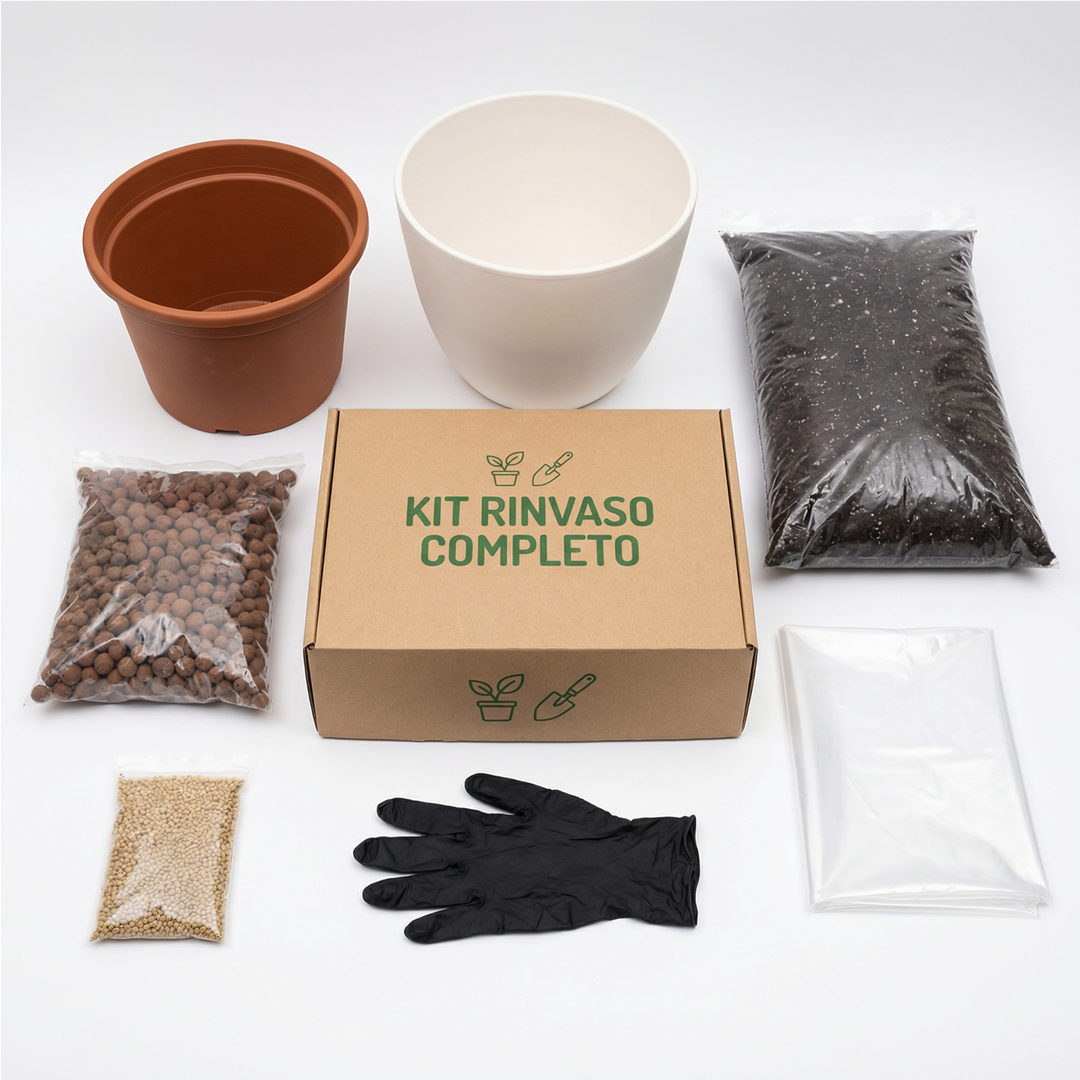 Kit Rinvaso completo per Piante da Interno con Coprivaso – Ø30 cm