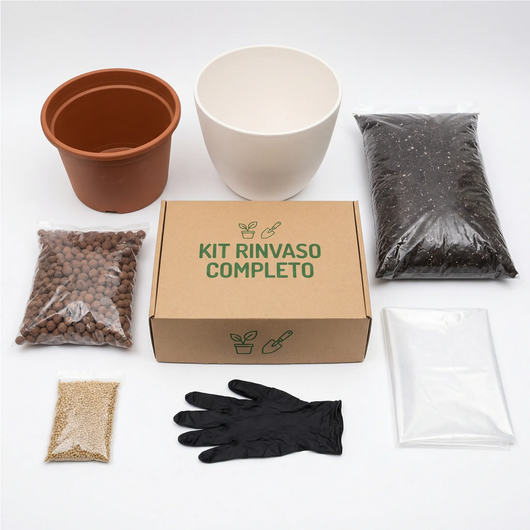 Kit Rinvaso completo per Piante da Interno con Coprivaso – Ø30 cm