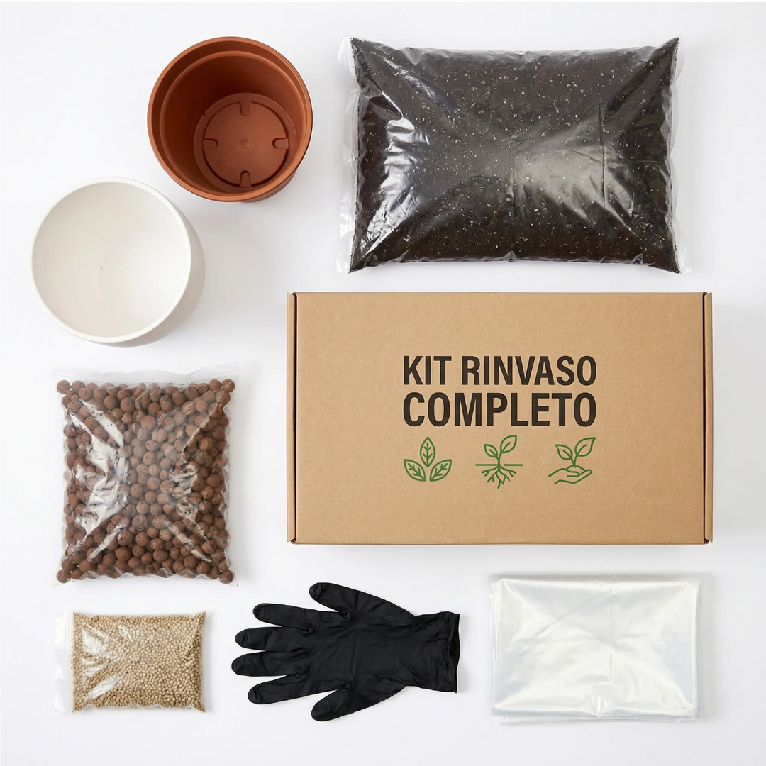 Kit Rinvaso flat lay con coprivaso bianco 25cm