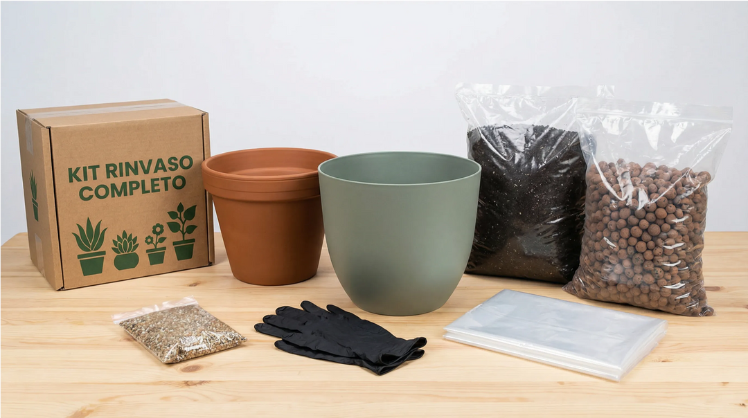 Kit Rinvaso su tavolo con coprivaso verde salvia 30cm