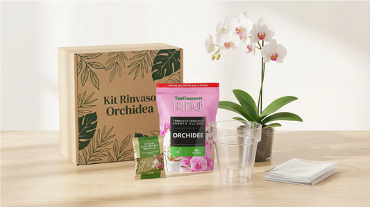 Kit rinvaso completo per orchidee