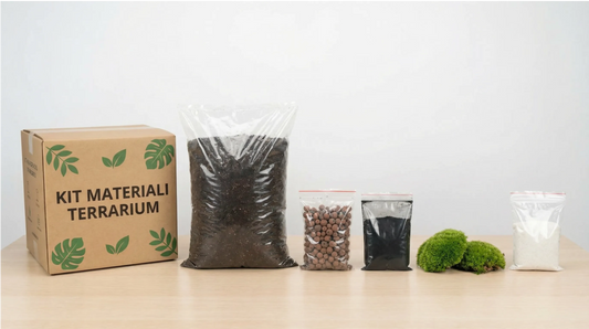 Kit Completo Materiali Terrarium - Tutto il Necessario per il Tuo Progetto