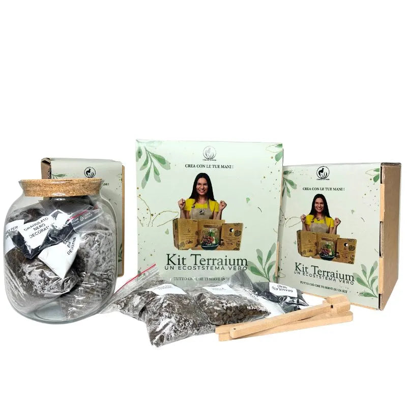 Kit Terrarium Medio 22×12 cm – Senza Piante | Made in Italy