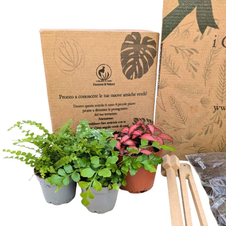 immagine che mostra il dettaglio delle quatro pintine comprese nel kit 