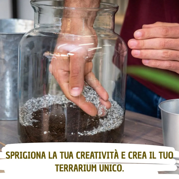 immagine che mostra una persona cxhe sta creando il suo terrarium 
