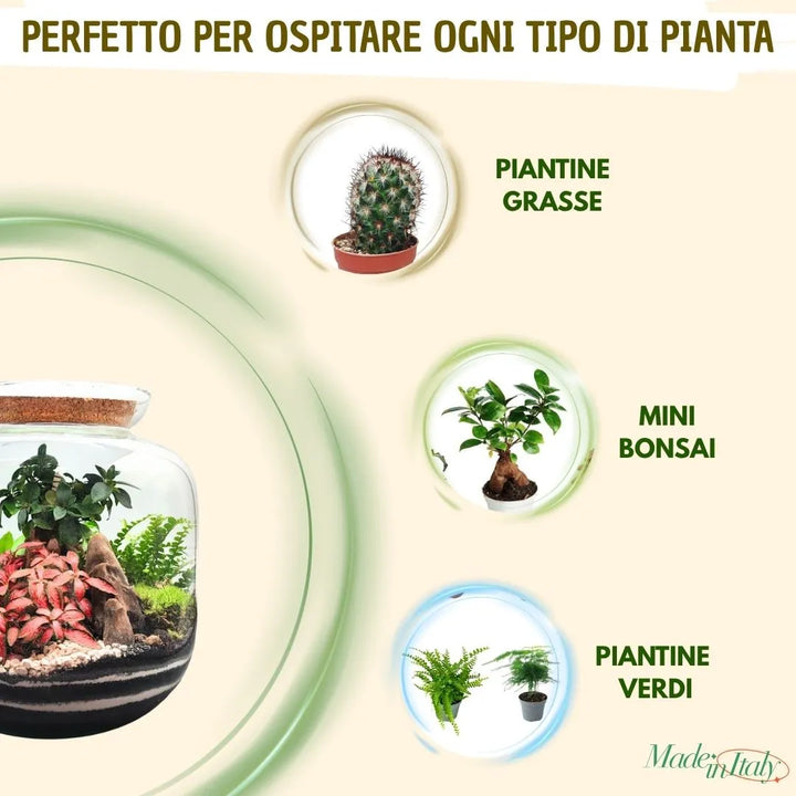 infografica che mostra tutte le tipologie di piante che si possono usare con questo kit 