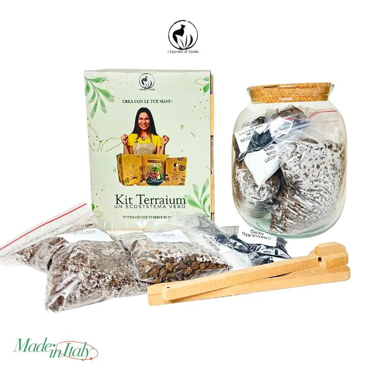 kit terrarium fai da te in confezione regalo 