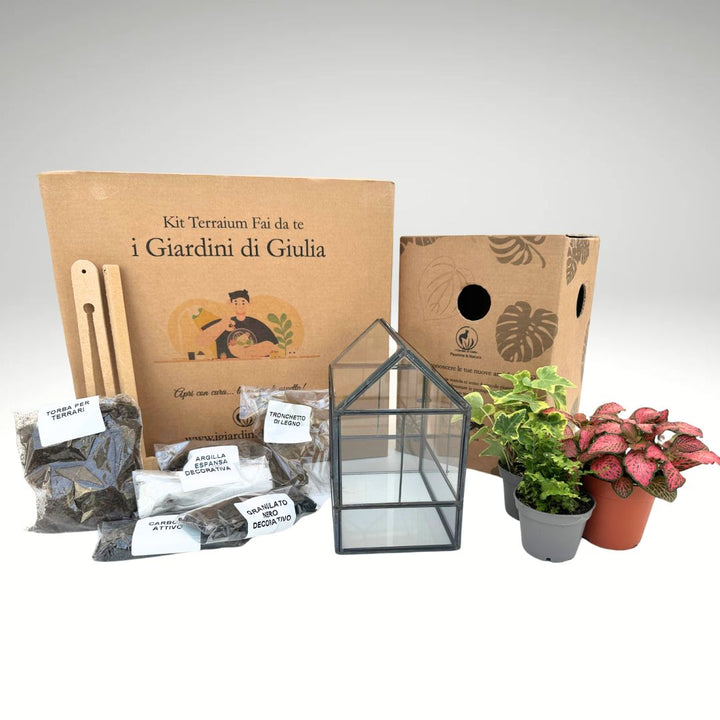 Kit Terrarium Geometrico Fai Da Te Monica | Crea il Tuo Giardino da Interno