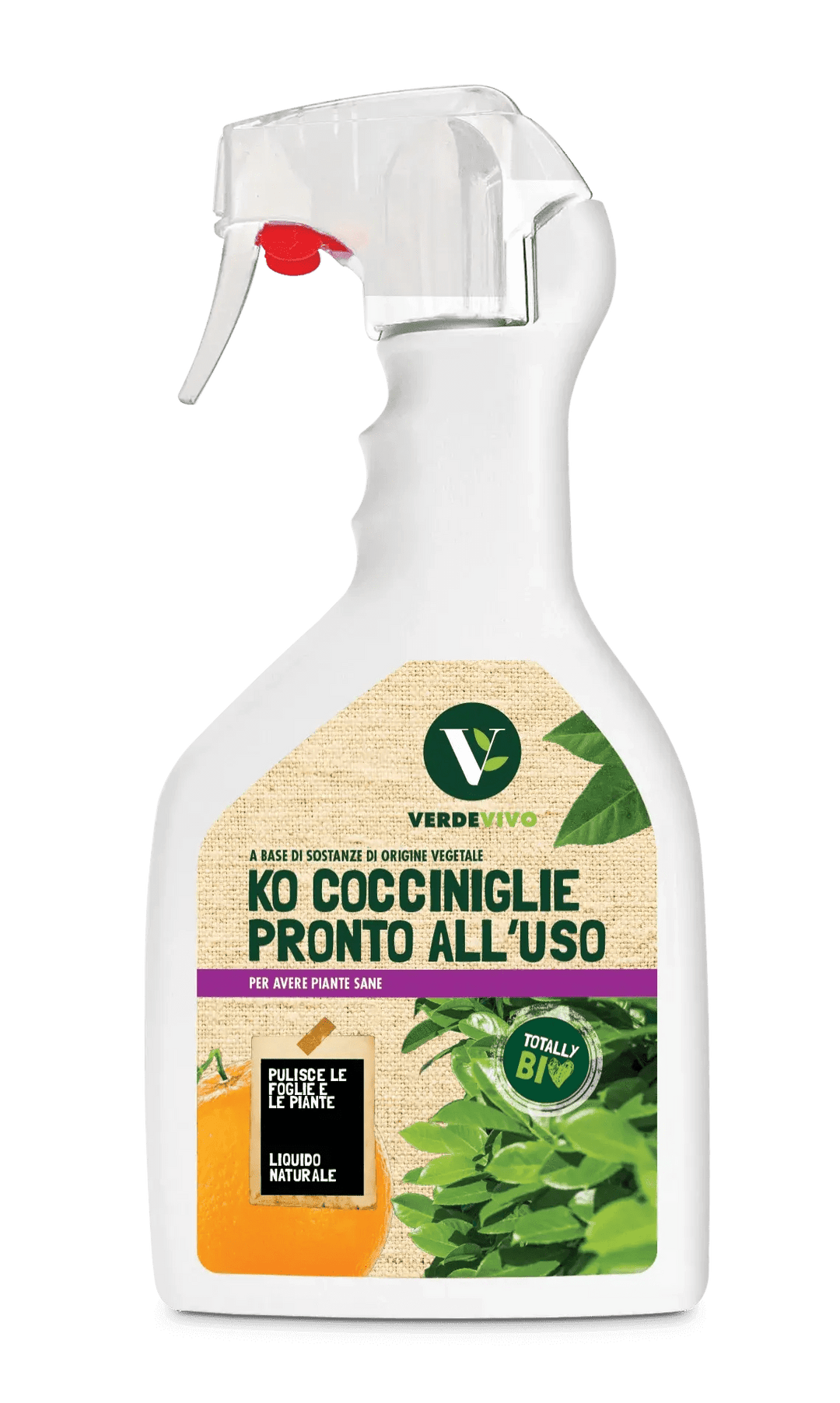 KO - COCCINIGLIE FL. 750 ML - i Giardini di Giulia