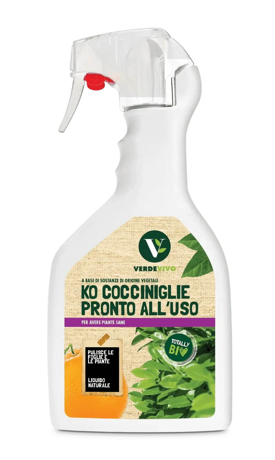KO - COCCINIGLIE FL. 750 ML - i Giardini di Giulia