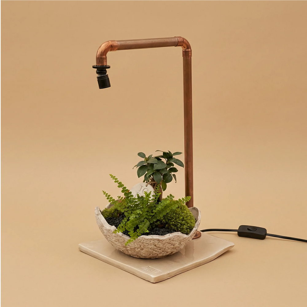 Lampada LED in tubo di rame con composizione bonsai Ficus, felce capelvenere, muschio verde e targhetta IGDG in ciotola ceramica artigianale su base quadrata in ceramica