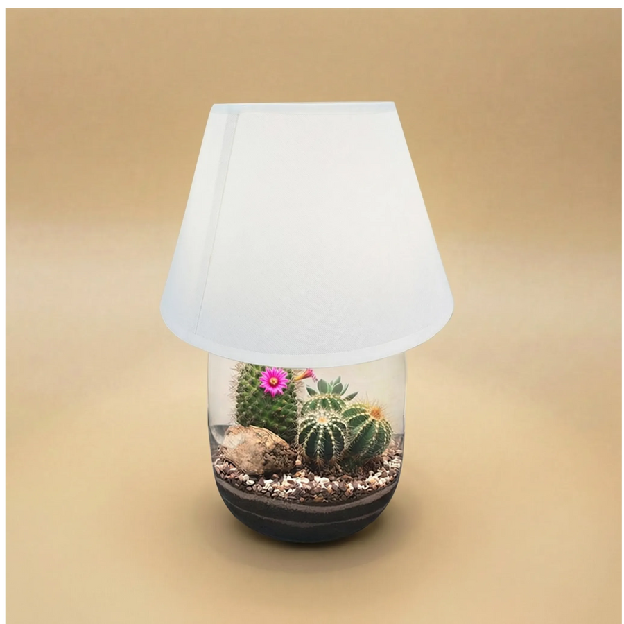 Limmagine mosta un terrarium lamparium con uno sfondo di colore beige con al suo interno piante grasse 