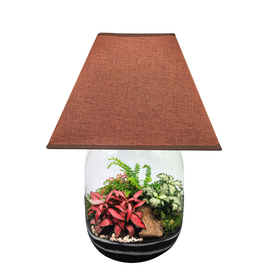 Terrarium Lamparium Oasi Lux elegant LUM03 - i Giardini di Giulia  