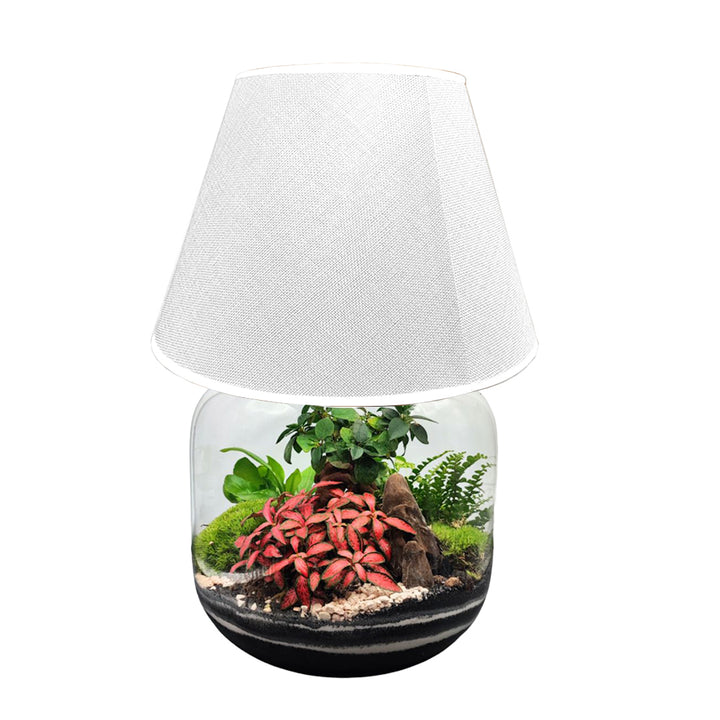 Terrarium Lamparium Martina - i Giardini di Giulia  