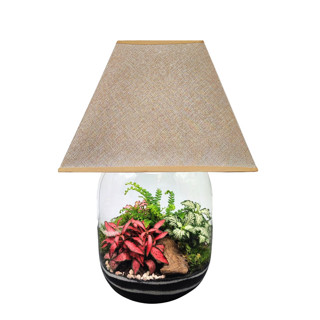 Terrarium Lamparium Oasi Lux elegant LUM03 - i Giardini di Giulia  