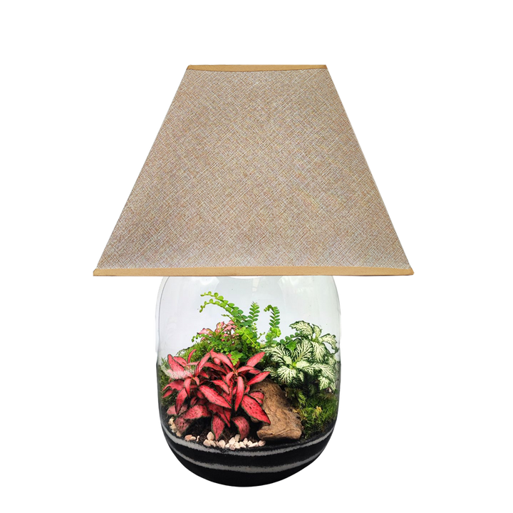 Terrarium Lamparium Oasi Lux elegant LUM03 - i Giardini di Giulia  