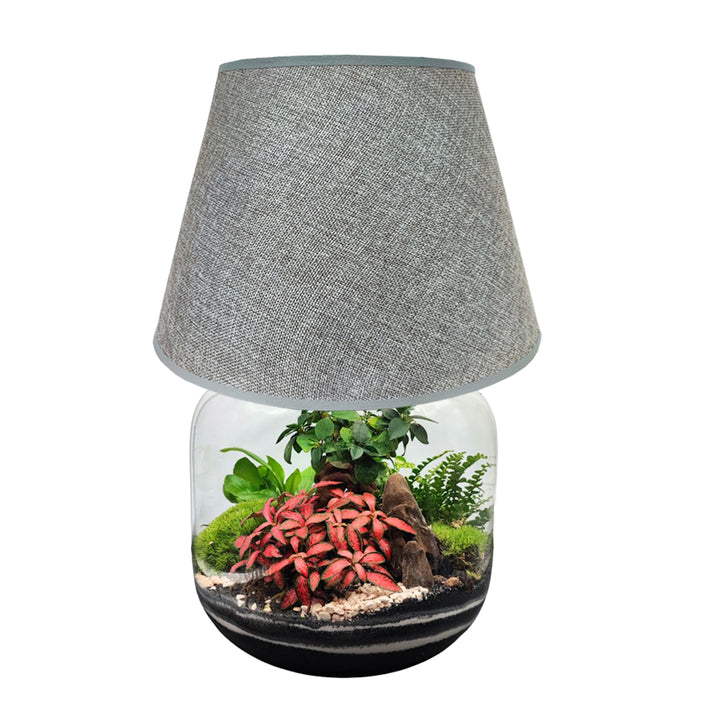 Terrarium Lamparium Martina - i Giardini di Giulia  