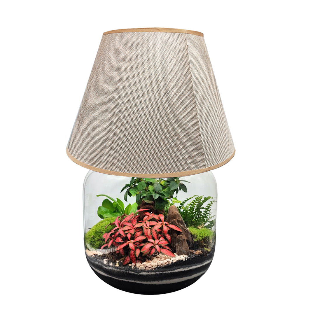 Terrarium Lamparium Martina - i Giardini di Giulia  