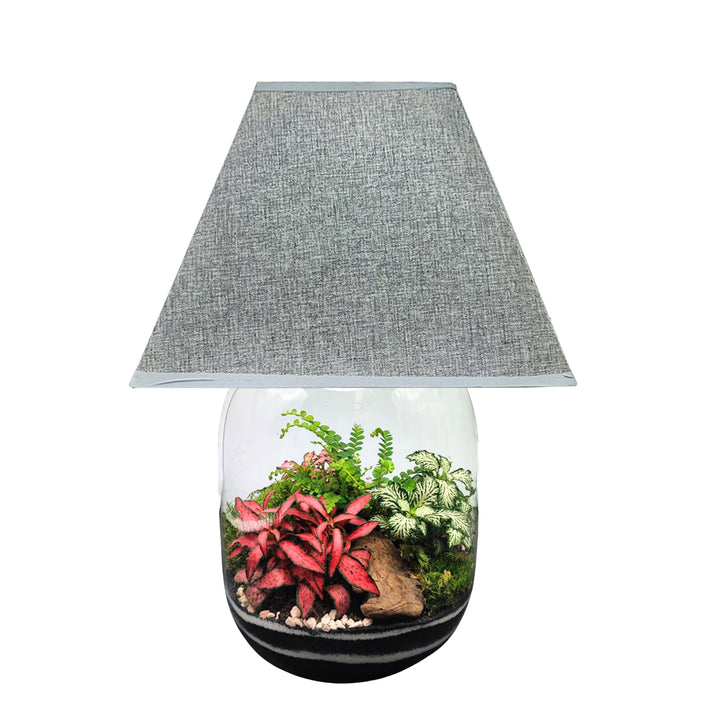 Terrarium Lamparium Oasi Lux elegant LUM03 - i Giardini di Giulia  