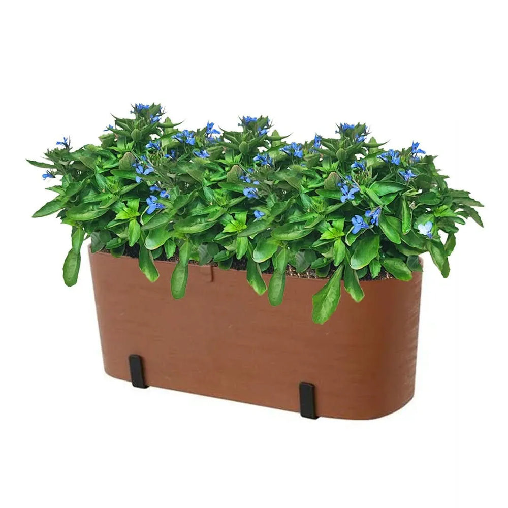 Kit Fioriera Paros 40 cm con 3 piante di Lobelia, perfetto per balconi