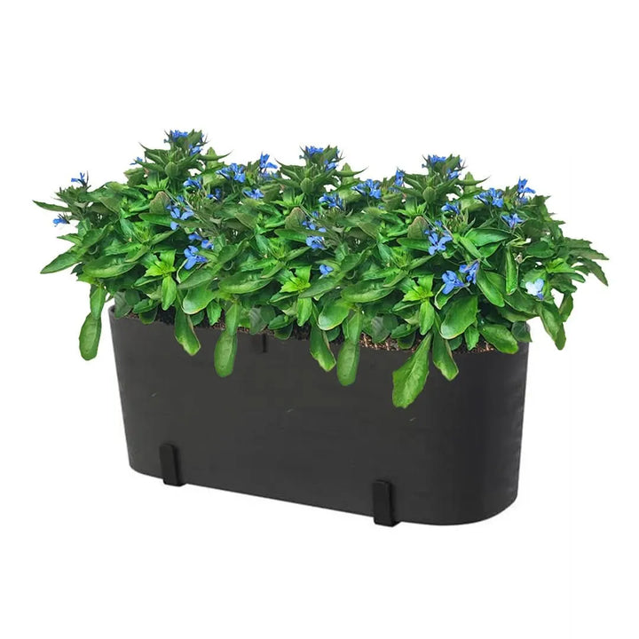 Kit Fioriera Paros 40 cm con 3 piante di Lobelia, perfetto per balconi
