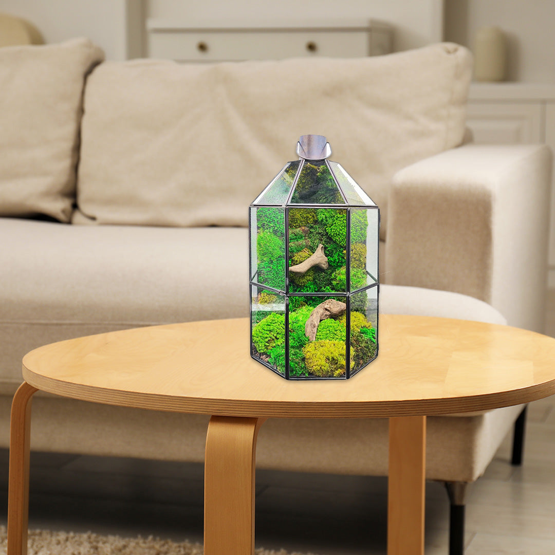 Terrarium Lanterna Verde geometrico con muschio stabilizzato - i Giardini di Giulia  