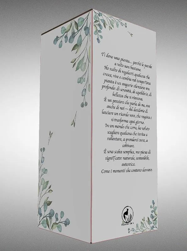 Scatola con Finestra | Packaging Rigido 26x11 cm - i Giardini di Giulia  