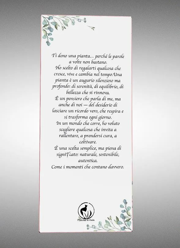 Scatola con Finestra | Packaging Rigido 26x11 cm - i Giardini di Giulia  