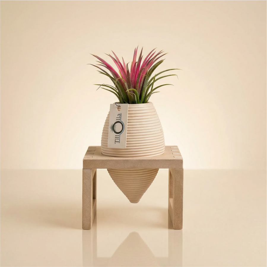 i Giardini di Giulia 