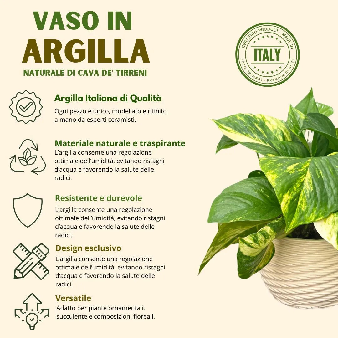 Scheda informativa sul vaso in argilla con Pothos variegato, vantaggi del materiale naturale e traspirante per la salute delle radici
