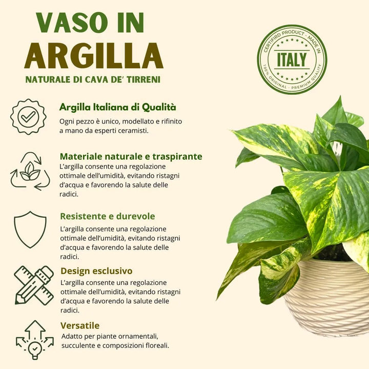 Scheda informativa sul vaso in argilla con Pothos variegato, vantaggi del materiale naturale e traspirante per la salute delle radici