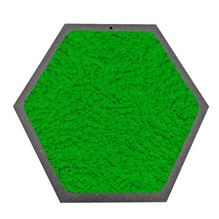 Quadro esagonale di Licheni Stabilizzati cornice Nera