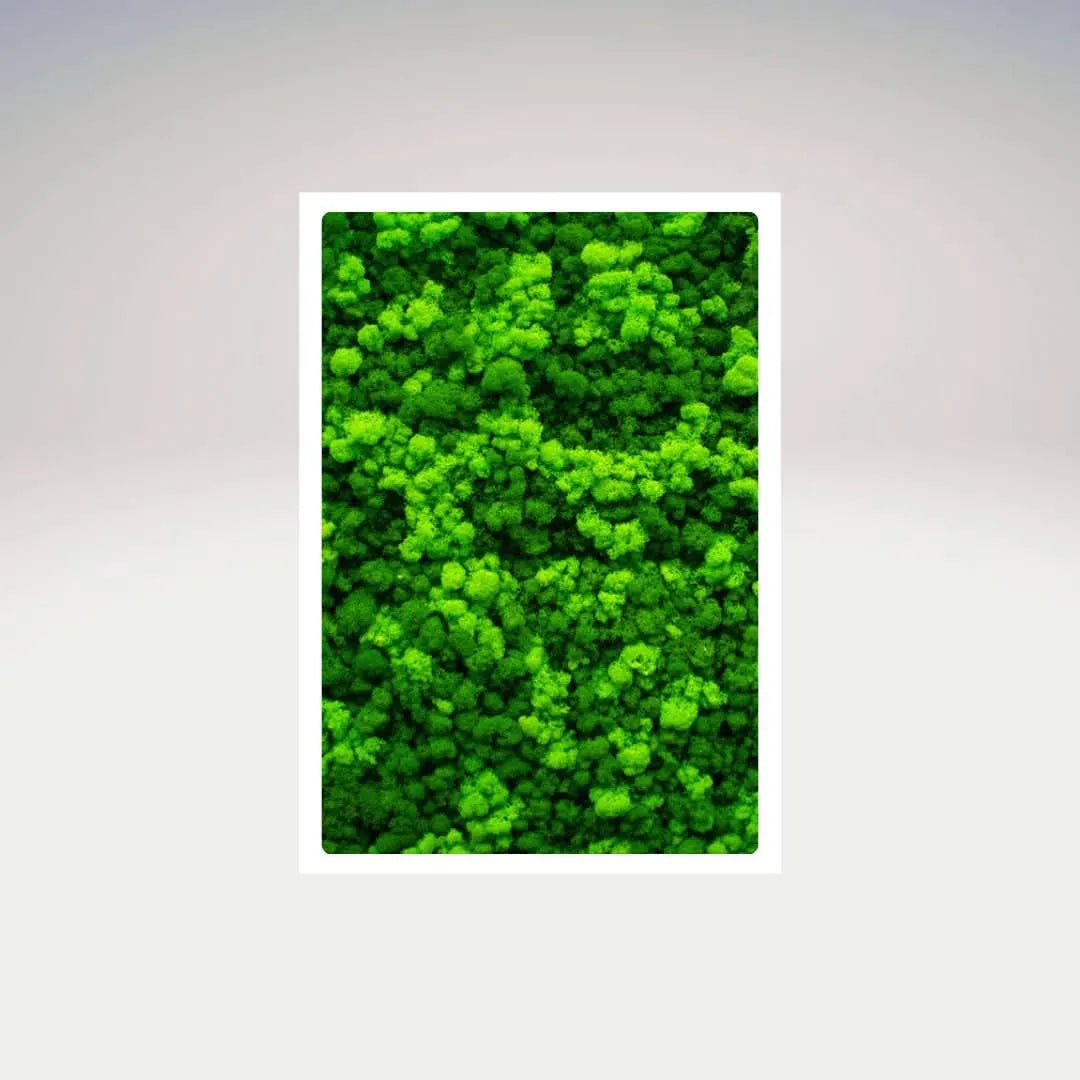 Quadro rettangolare in muschio stabilizzato con cornice bianca – I Giardini di Giulia