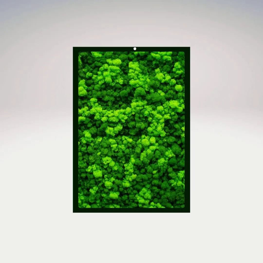 Quadro rettangolare in muschio stabilizzato con cornice nera – I Giardini di Giulia