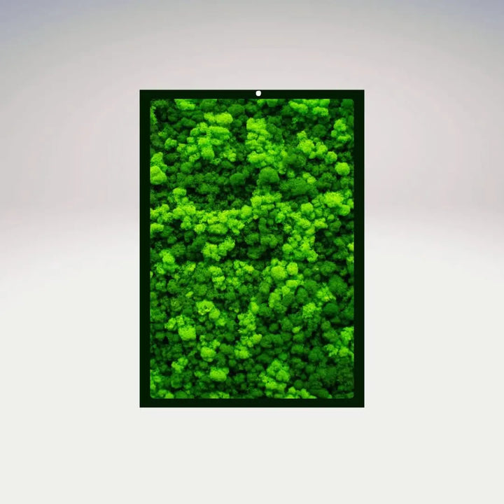 Quadro rettangolare in muschio stabilizzato con cornice nera – I Giardini di Giulia