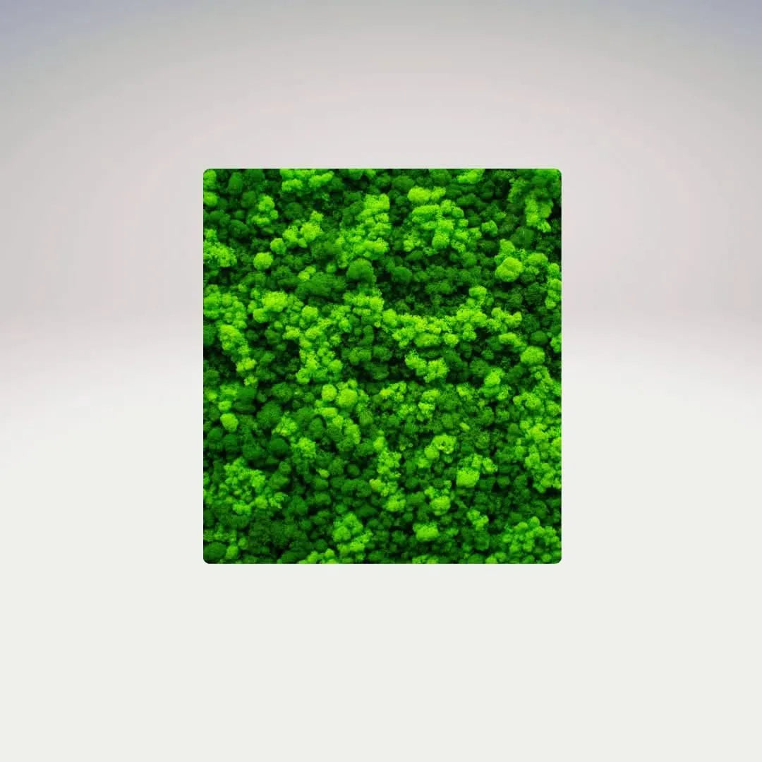 Quadro rettangolare in muschio stabilizzato senza cornice su sfondo neutro – I Giardini di Giulia