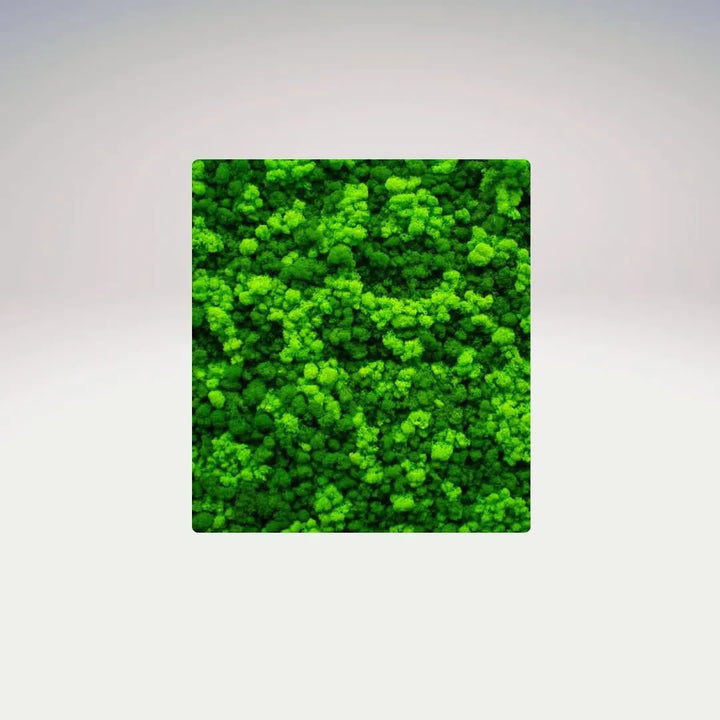 Quadro rettangolare in muschio stabilizzato senza cornice su sfondo neutro – I Giardini di Giulia